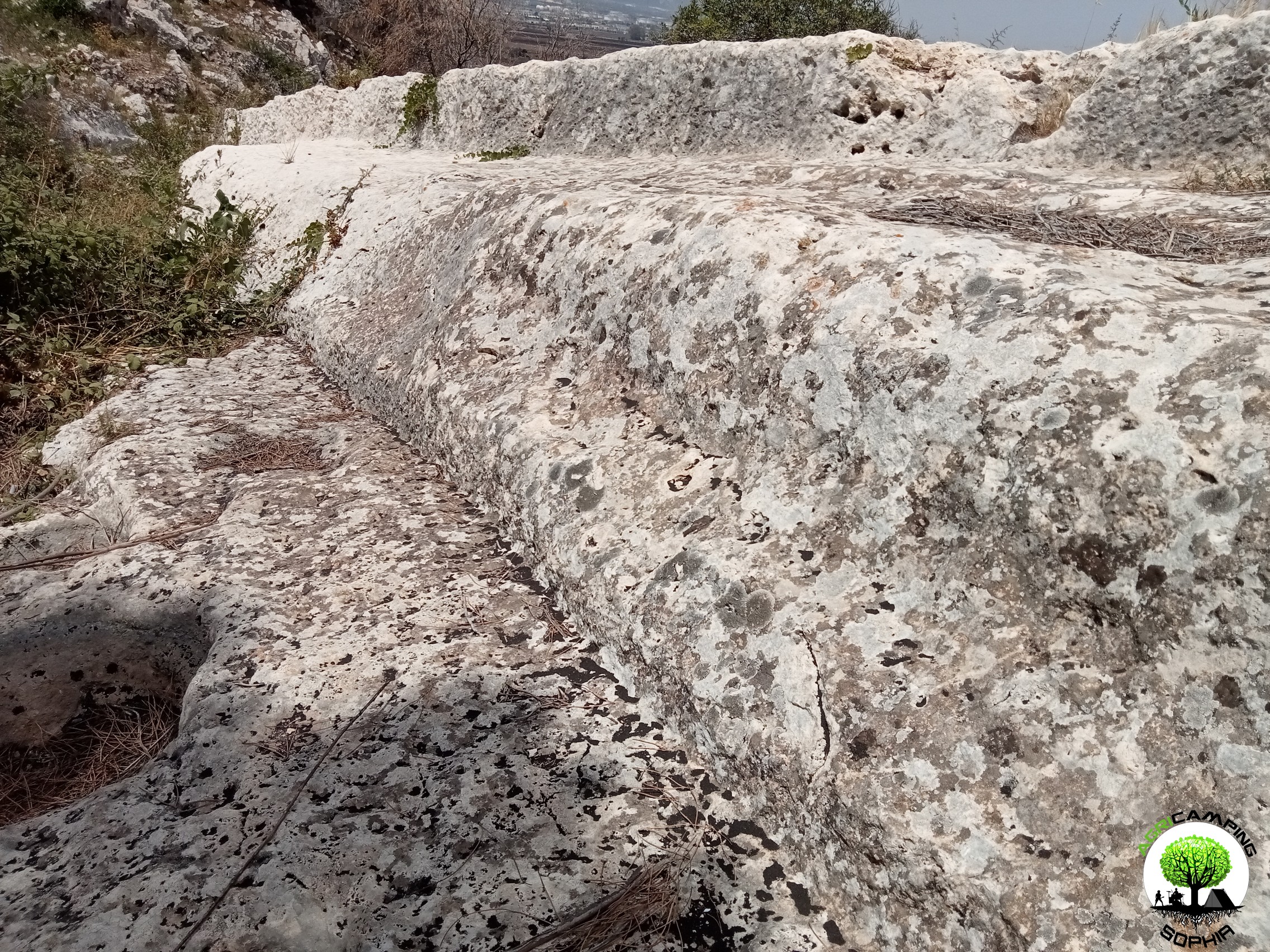 cart-ruts-scala-greca-porta-scea-targia-siracusa-bordatura.jpg