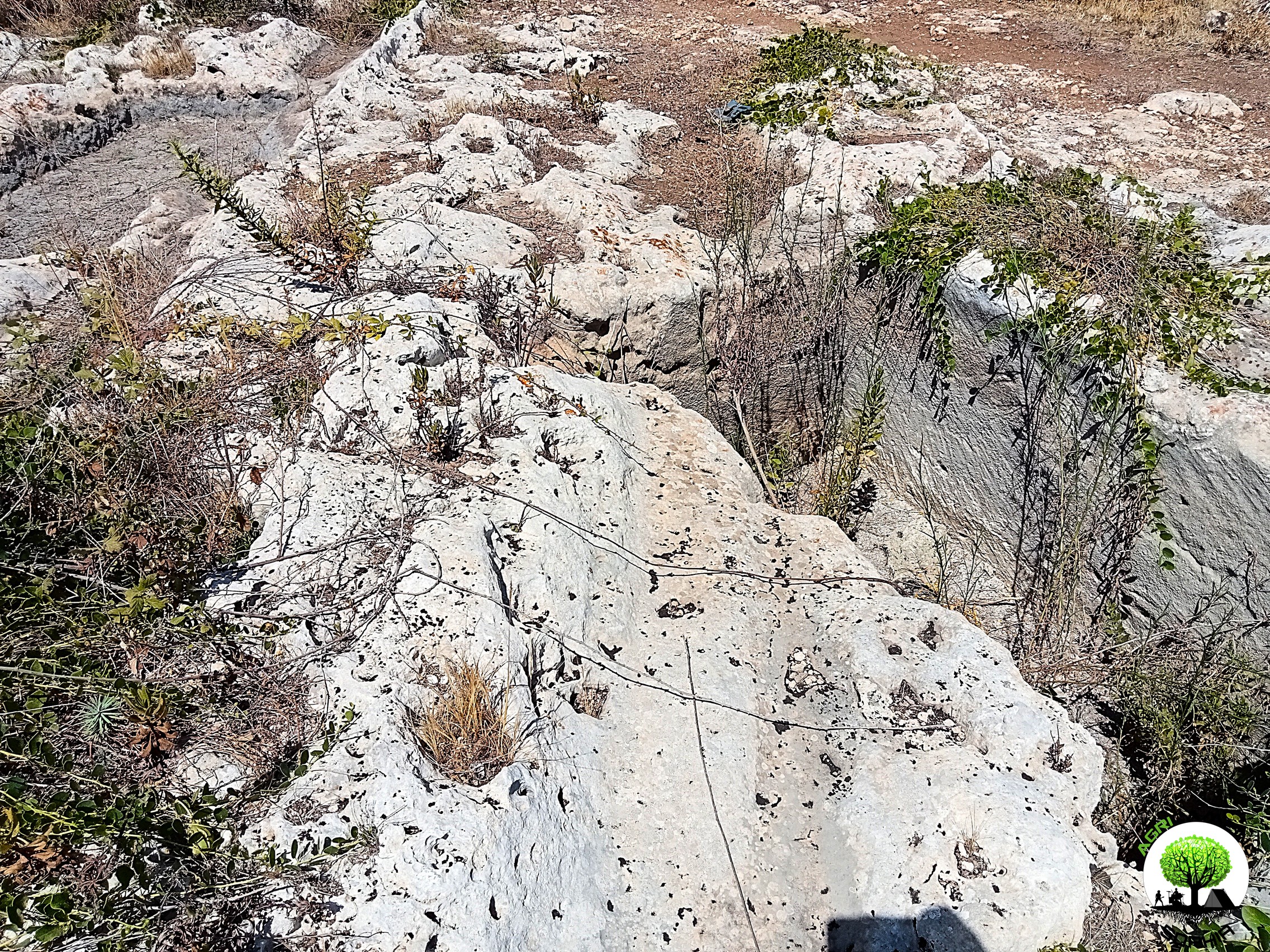 cart-ruts-solchi-blocchi-targia.jpg