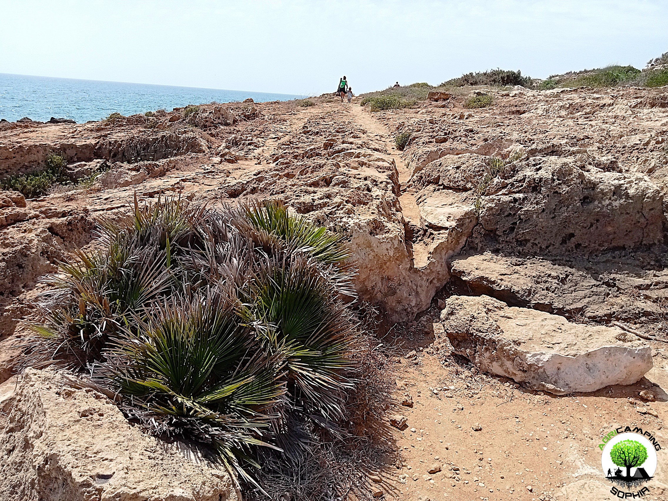 CART RUTS CUT FROM QUARRIES