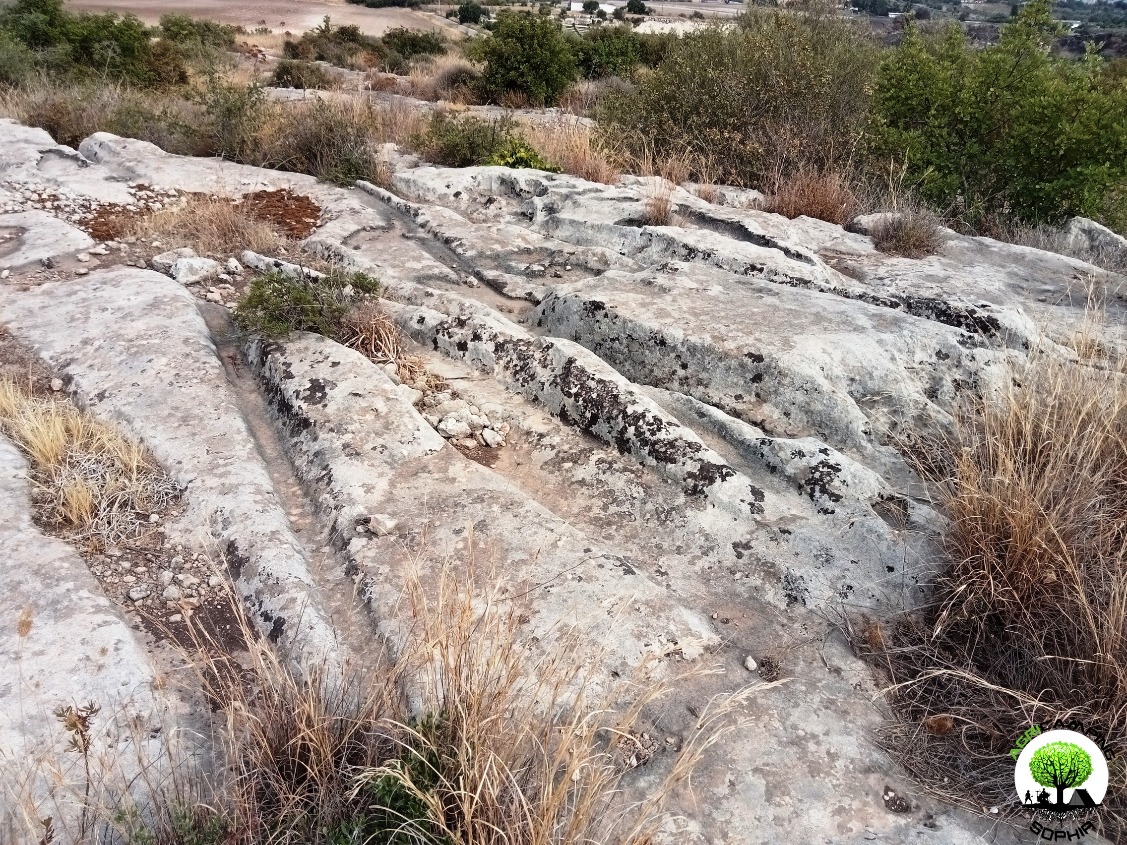 granatari-vecchi-rosolini-cart-ruts-solchi-convergenti.jpg