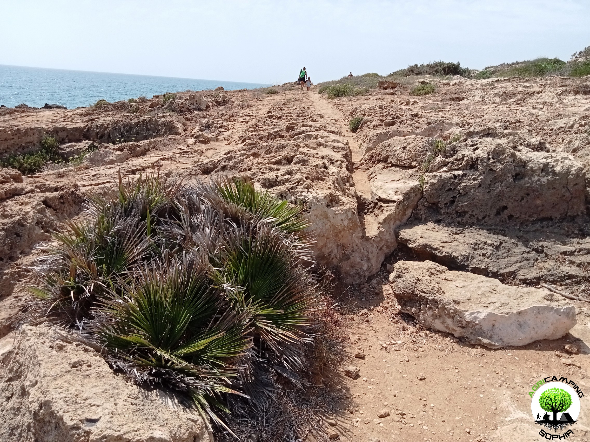 granatari-vecchi-rosolini-cart-ruts-solchi-convergenti.jpg